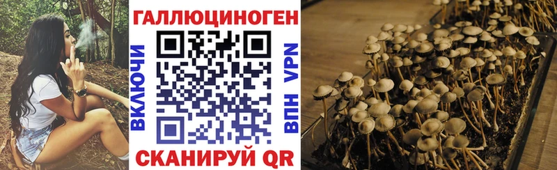 магазин  наркотиков  Маркс  Галлюциногенные грибы Magic Shrooms 